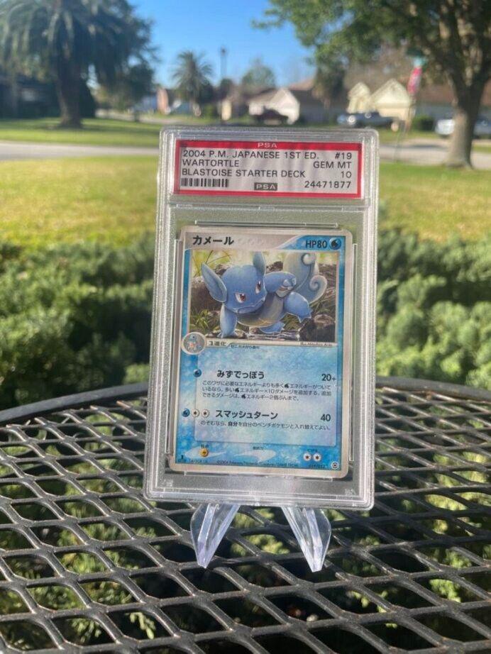 Wartortle